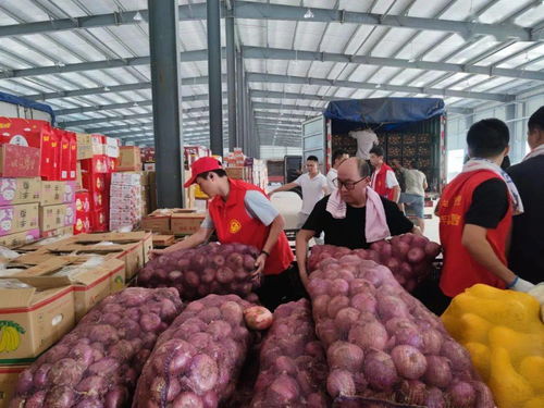 魯豫同心，蔬果傳情 聊城25噸新鮮蔬果馳援河南